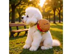 Mochila de Transporte para Cães, Frontal AQUAFORGE