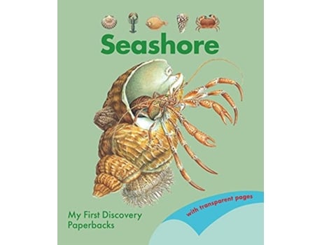 Livro The Seashore de De Hugo e Pierre (Inglês)