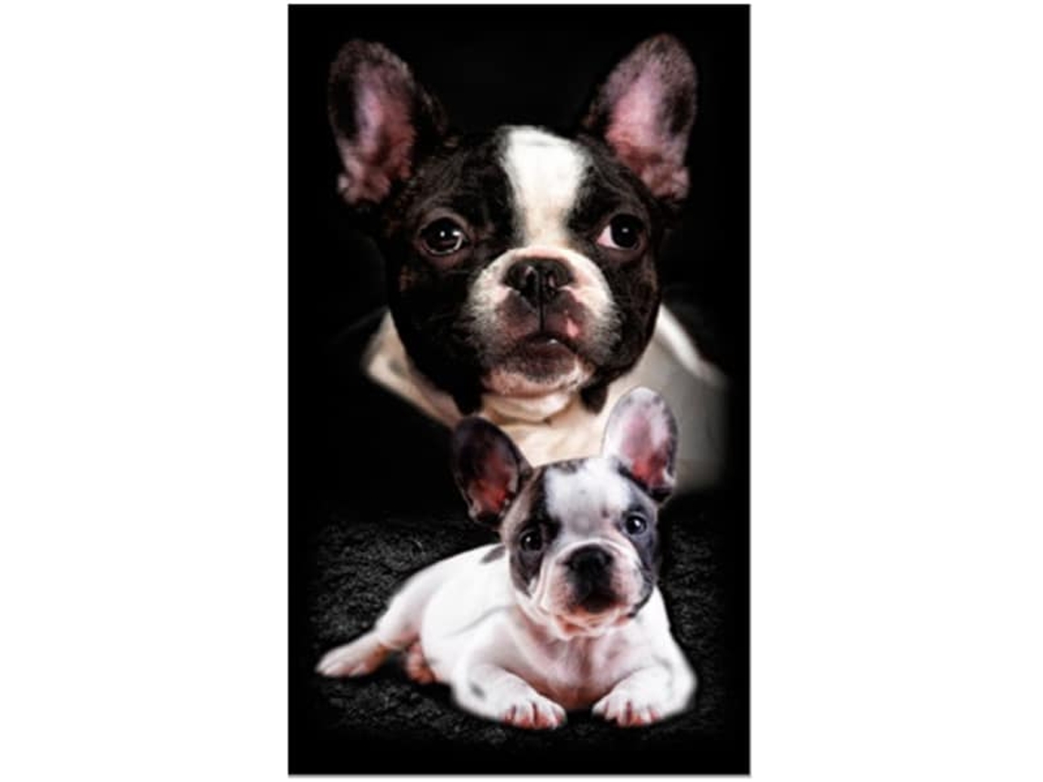 Toalha Praia Microfibra Dois Bulldogs Franceses