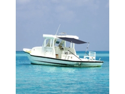 Vidaxl Extensão De Toldo Em T 170x170x(115-183) Cm Azul