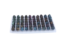 Primerox 60pcs Ovos de Dinossauro Crescem Brinquedo Educativo para Crianças Presente