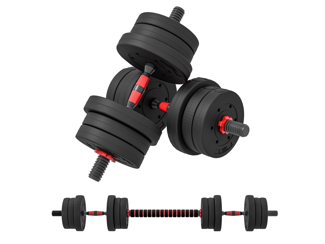 Kit de 2 Halteres antiderrapantes BTFORUS 20kg com 12 discos e conector