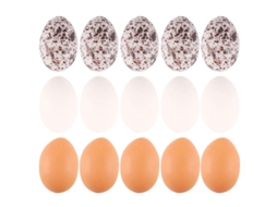 24pcs Modelos De Ovos Em Miniatura Allinless