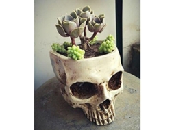 Maceta Calavera De Halloween De Resina Sintética Color Crema Blanca Tamaño 15.6x12x9.7 Cm