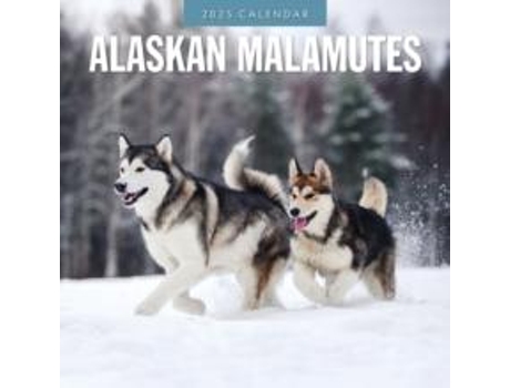 Livro Alaskan Malamutes 2025 Square Wall Calendar de Red Robin (Inglês)
