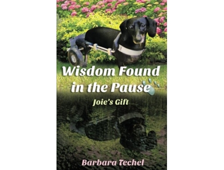 Livro Wisdom Found in the Pause Joies Gift de Barbara Techel (Inglês)