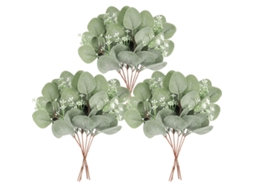 Plantas Artificiais Eucalipto Decoração 12 Peças Folhas De Eucalipto Verde Simuladas Ramos Planta Eucalipto Silver Dollar Em Lote Para Casamento Jardi