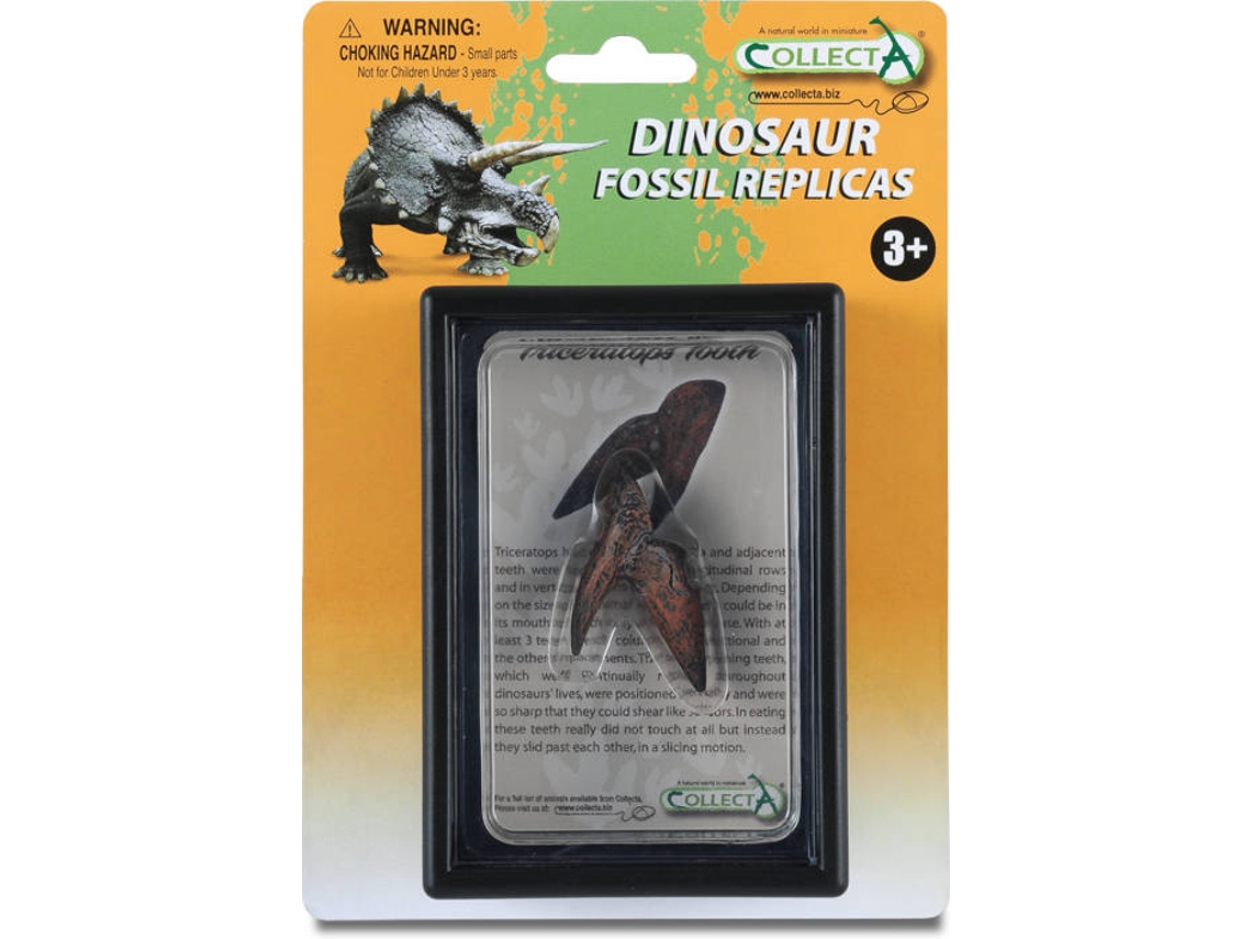 Figura COLLECTA Tooth Of Box Se Triceratops