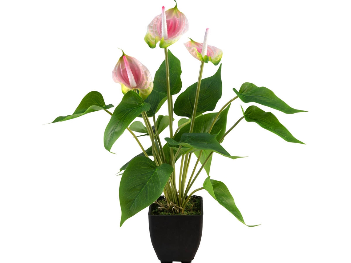 Planta Artificial EUROPALMS Anthurium (Rosa - 300 g)