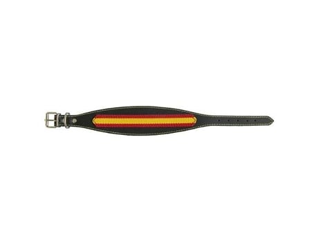 Collar bandera 48cm 622171 galgo