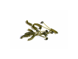 Alinhadores de Linha Ridgemonkey D Ring Connexion Small