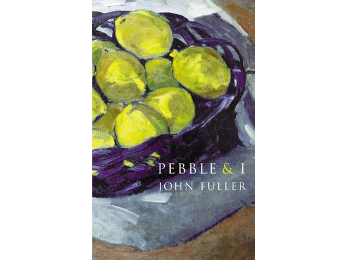 Livro Pebble I de John Fuller (Inglês)