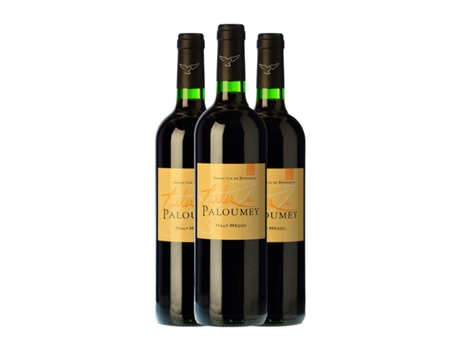 Vinho CHÂTEAU PALOUMEY Ailes Haut-Médoc (0.75 L - 3 Unidades)