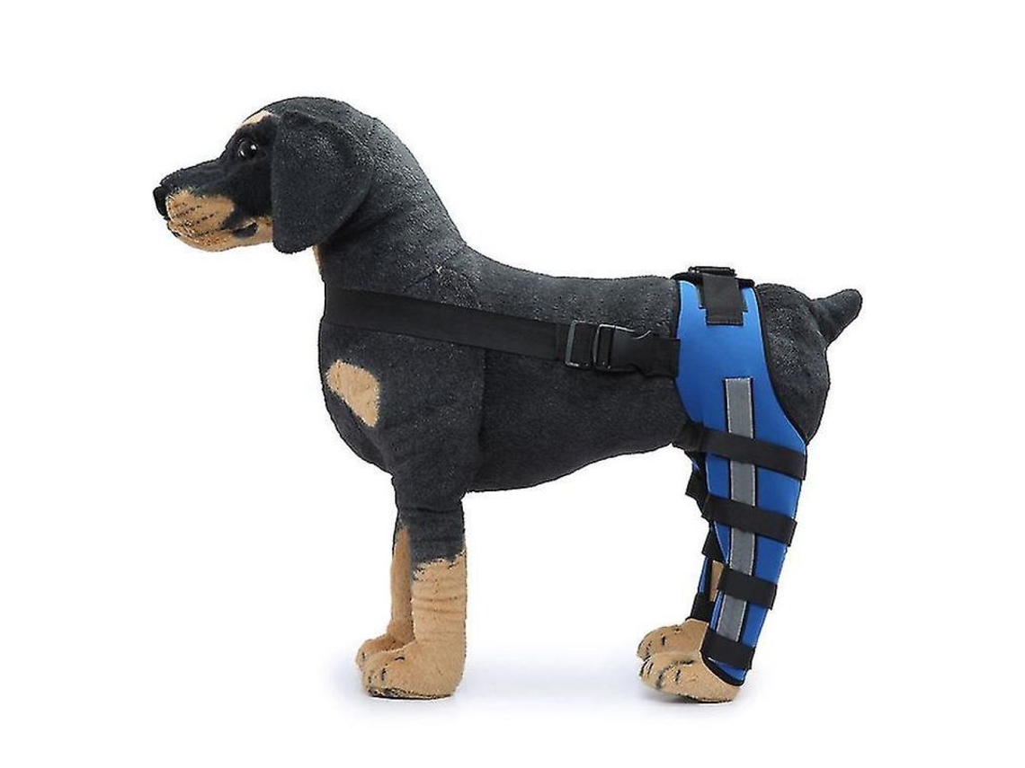 Protector de Rodilla para Perros con Doble Soporte Posterior MARCA