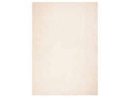 Rug, Rugs Vidaxl Bege Poliéster (200 X 280 Cm)