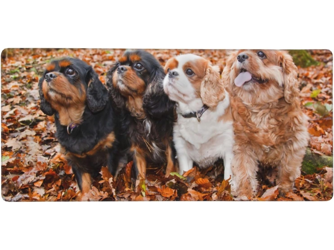 Mouse Pad Grande para Computador com Estampa de Filhotes Cavalier King Charles Spaniel no Outono, Base Borrach