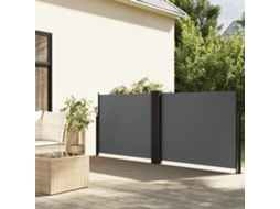 Vidaxl Toldo Lateral Retrátil 100x600 Cm Antracite