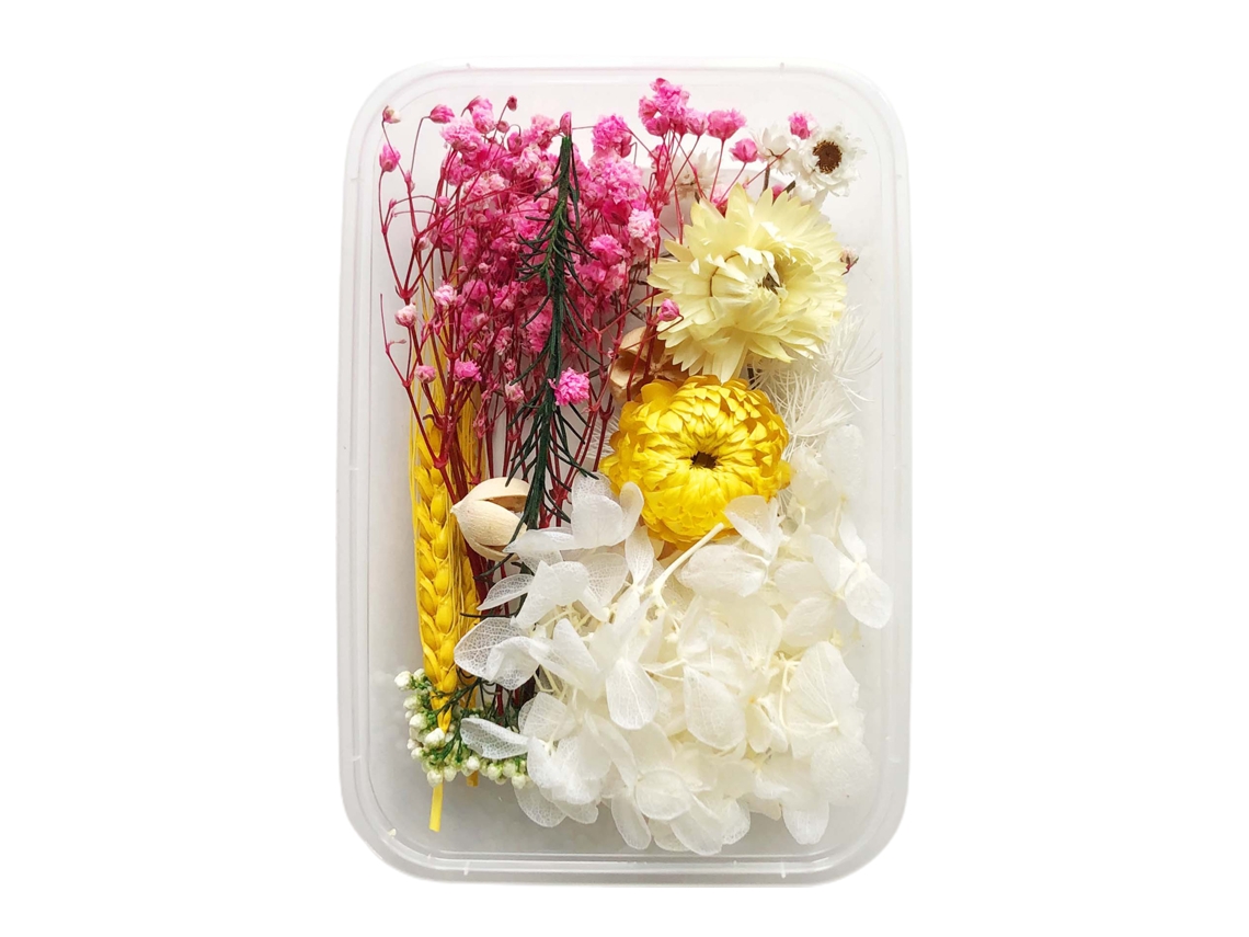 Kit De Flores Secas E Aromaterapia Laxiscreed Com 10 Peças Para Decoração E Diy