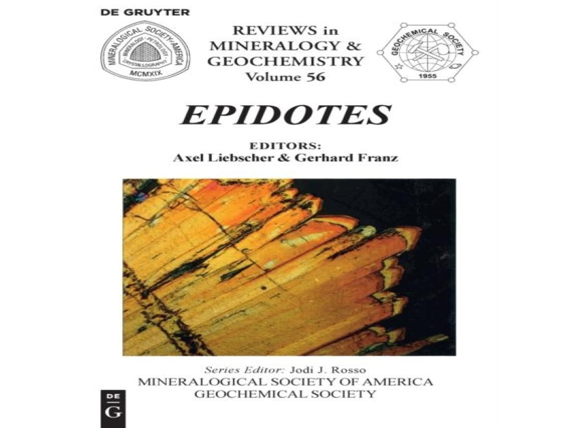 Livro Epidotes de De Gruyter (Inglês)