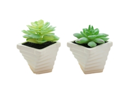 2Pcs Plantas Suculentas em Vaso Criativas Pequenos Ornamentos NEVEANCE