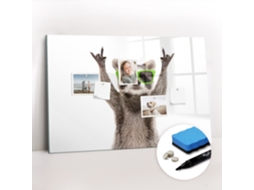 Quadro De Vidro Magnético Guaxinim Com Óculos Para A Sala De Estar Espelharte (90x60 Cm)