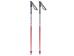 SWIX Poloneses Wc Pro Sl Junior Prateado 100 cm
