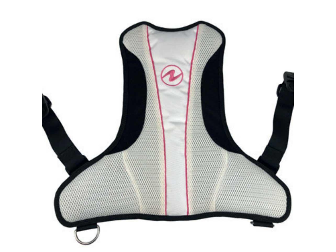 Aqualung Rogue Back Assembly