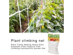 Kit 50 Cestos de Plástico para Cultivo AQUAFORGE
