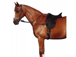 Chambon Elástico Ajustável Castanho Fullnorton Equestrian