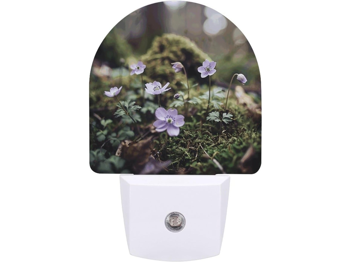 Luminárias de parede com plugue, pequenas luminárias noturnas com estampa de Anêmona Roxa, luminárias noturnas