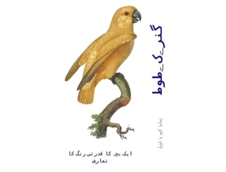 Livro ???? ?? ??? ??? ??? ?? ????? ??? ?? ????? de David E McAdams (Urdu)