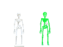 Laxiscreed Escultura De Esqueleto 3d Para Aquário, Decoração Criativa E Móvel De Estilo Macabre