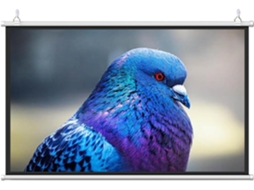 Tela de Projeção 30'' 16:9 4:3 Hd Portátil | S/MARCA