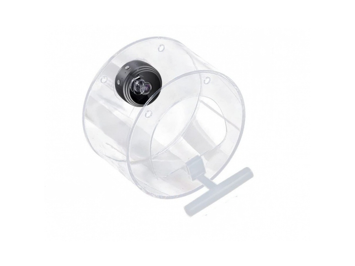 Roda De Exercícios Super Silenciosa Para Hamsters Anões, Acessório Gaiola Em Acrílico Transparente Com Faixa Antiderrapante Que Ga-aquaforge