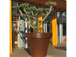 Floreira Em Aço Corten De Grande Formato Maceta | 75-130x110(h) Cm