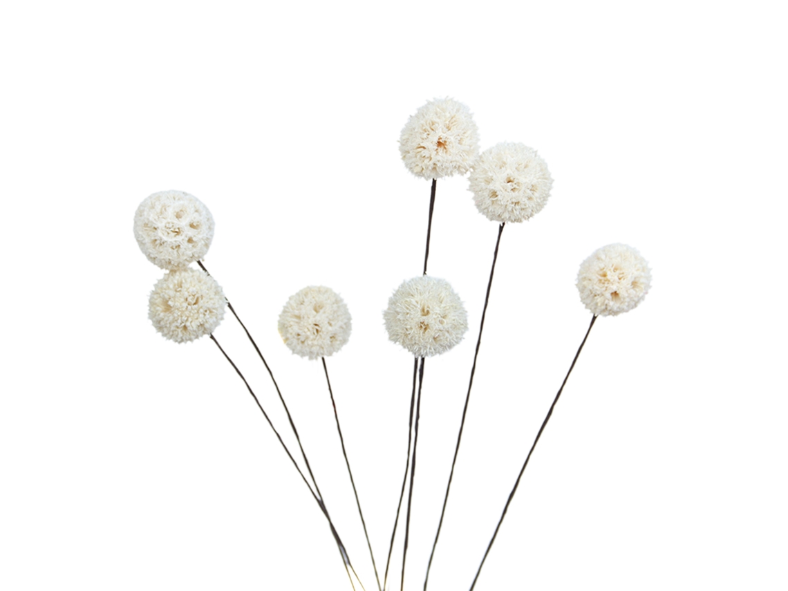 Flores Secas Artificiais Billy Ball para Decoração de Casa e Jardim