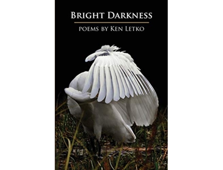 Livro Bright Darkness de Ken Letko (Inglês)