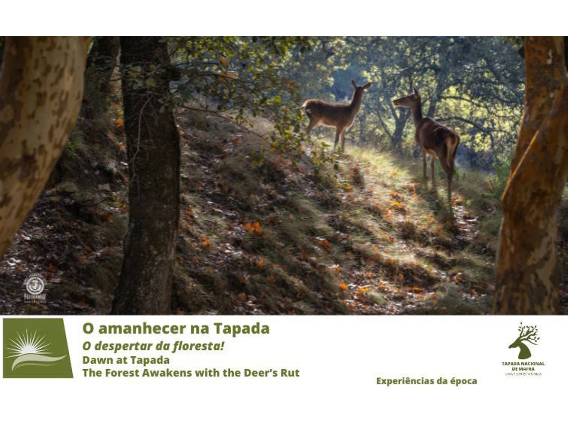 Bilhete TAPADA NACIONAL DE MAFRA - O AMANHECER NA TAPADA