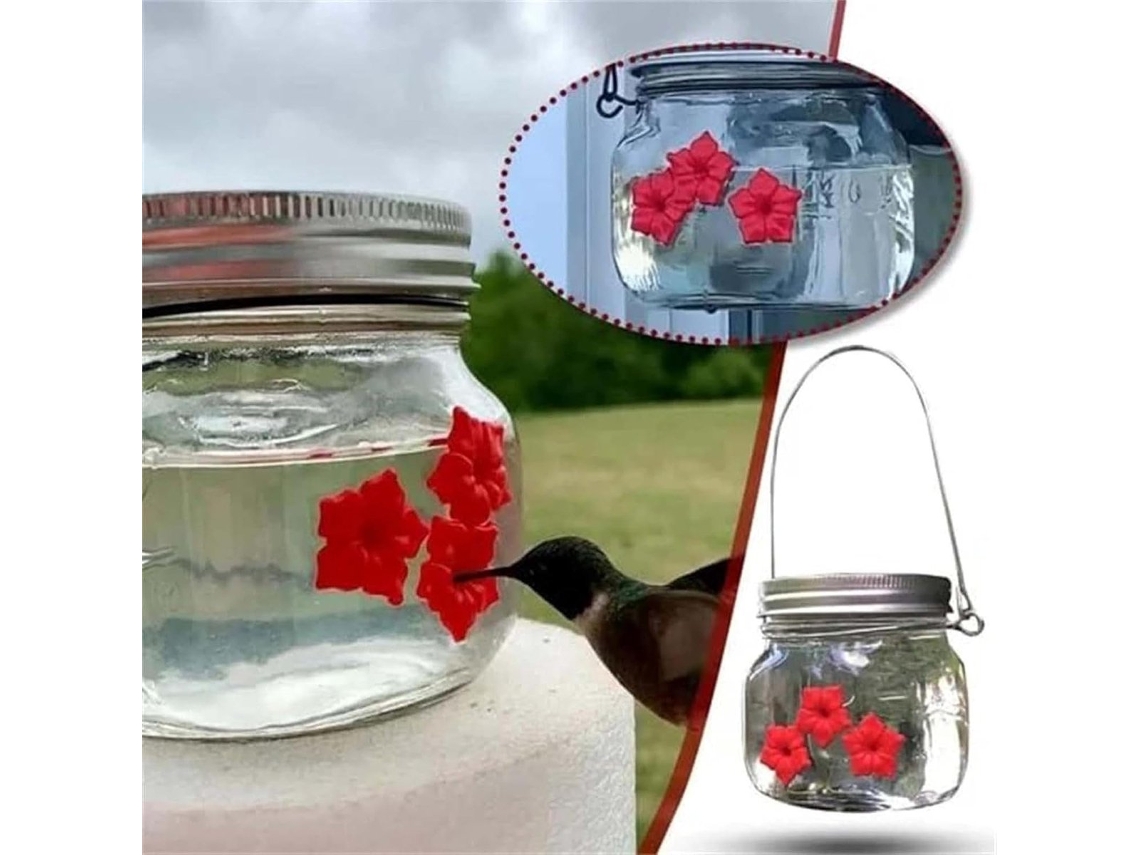 Alimentador automático em forma de gaiola para beija-flores AQUAFORGE