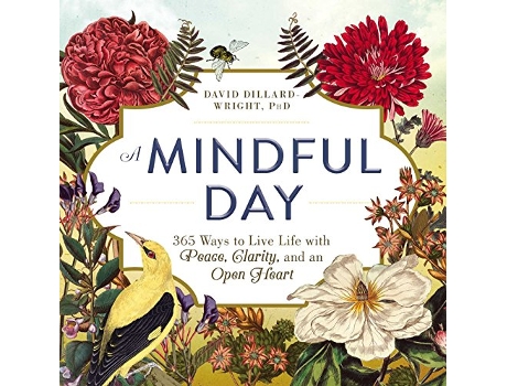 Livro Mindful Day de David Dillard-Wright (Inglês)