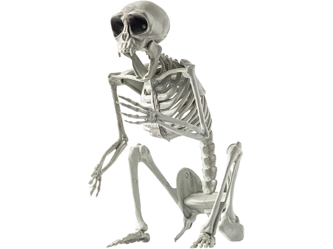 Decorações De Cachorro Esqueleto, Estátuas De Cachorro Para O Halloween | Esqueletos