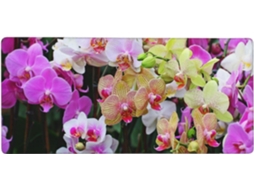 Mousepad para Computador de Grande Formato com Estampa Orquídeas, Base Borracha Antiderrapante, 40 X 90 Cm