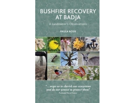 Livro Bushfire Recovery At Badja A Landowners Observations De Paula Boer (inglês)