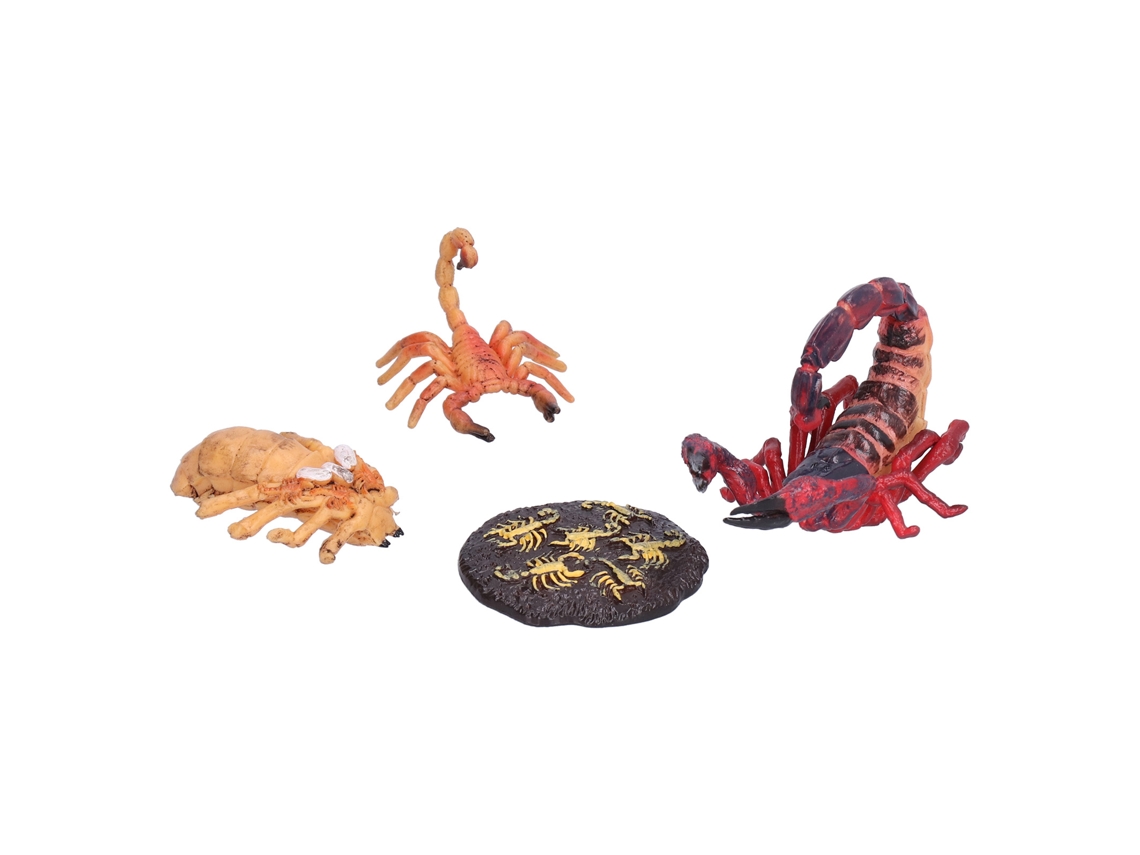 Ats kit Educativo de Ciclo de Vida do Escorpião Brinquedos Etapas do Inseto para Crianças