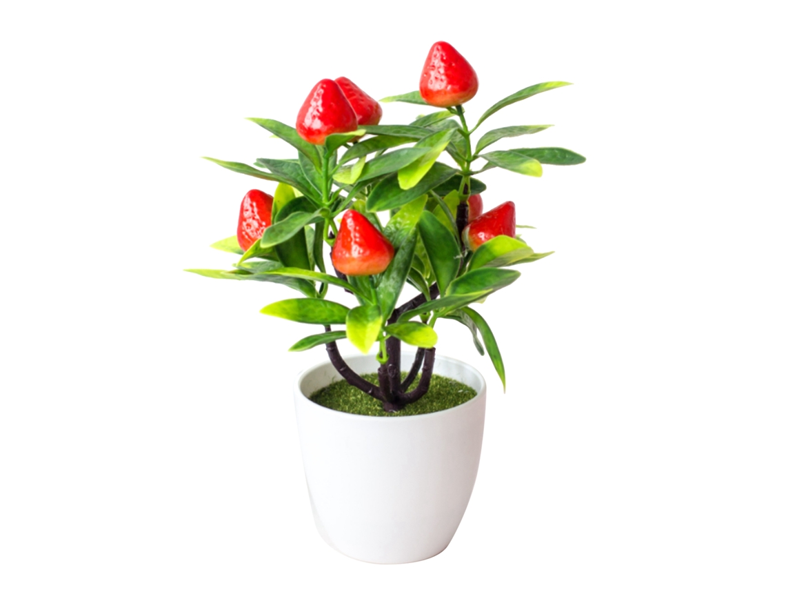 Planta Decorativa de Origem Verde com Fruta, Bonsaí, 18x22cm, Morangos Embebidos LAXISCREED