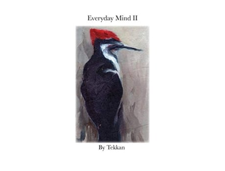 Livro Everyday Mind II II de Tekkan (Inglês)