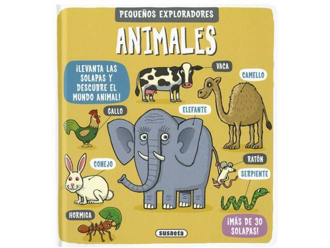 Livro (Espanhol)