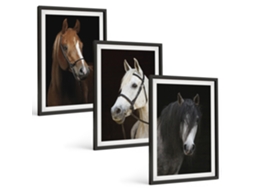 Quadros Decorativos Para Parede Retratos De Cavalos Em Tons De Pelo Moldura Preta Quadros Para O Escritório Espelharte (3 Piezas De 40x60 Cm)
