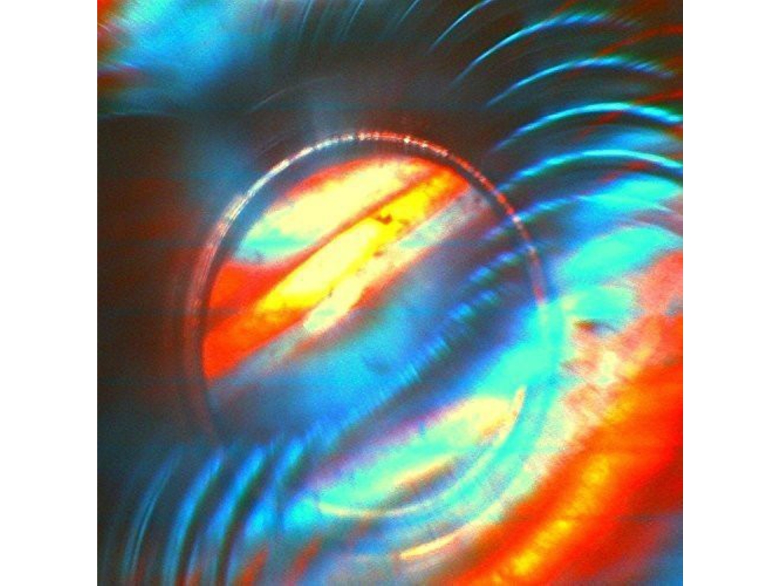 Vinil Solar Bears - Advancement