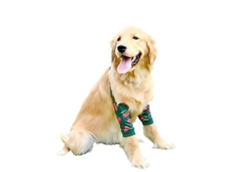 2026 protector de Cotovelo para Cães Médios e Grandes Joelheiras Anti desgaste Roupa de Mascota Proteção Articular